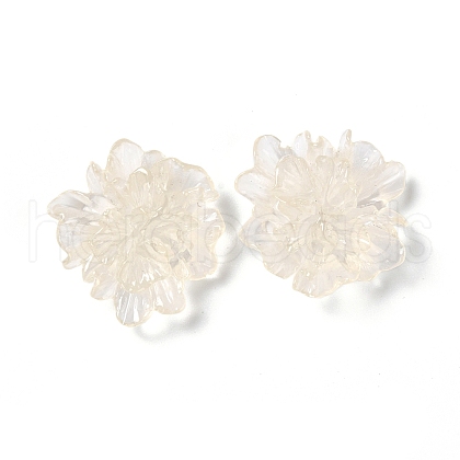 Transparent Resin Cabochons X-RESI-G027-01A-1
