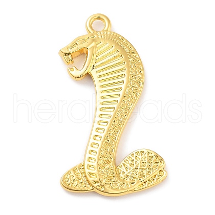 Tibetan Style Alloy Big Pendants PALLOY-S031-12A-1