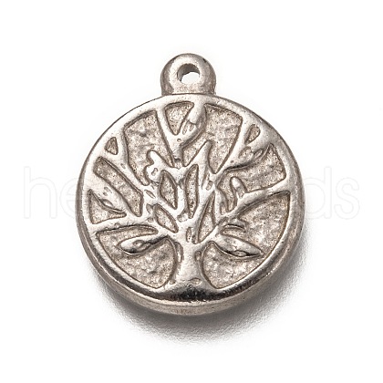 Non-Tarnish 304 Stainless Steel Pendants STAS-H123-31P-1