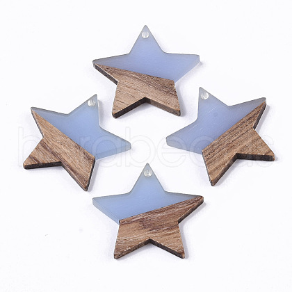 Transparent Resin & Wood Pendants RESI-T023-23-B01-1