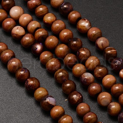 Natural Freshwater Shell Round Bead Strands X-SHEL-M012-03-1