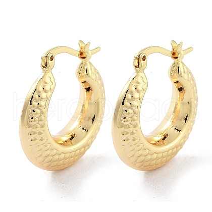 Brass Hoop Earrings EJEW-H301-09G-1