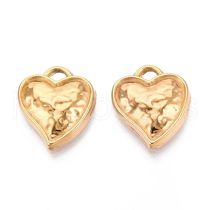 304 Stainless Steel Pendants STAS-T065-25G-1