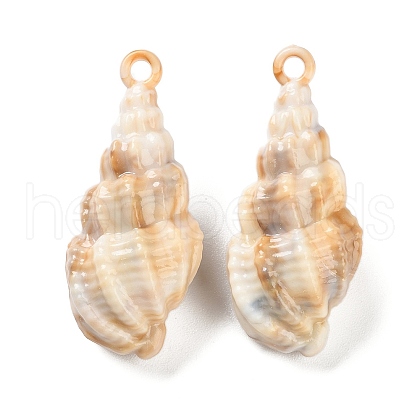 Opaque Acrylic Pendants OACR-U004-06C-1