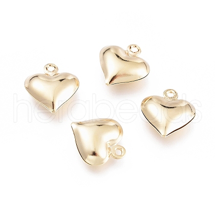 304 Stainless Steel Charms X-STAS-H413-16G-1