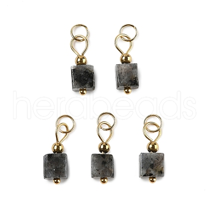 Natural Labradorite Pendants STAS-Z129-01G-03-1