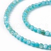 125Pcs Natural Freshwater Shell Beads SHEL-B002-01E-2
