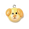 Opaque Resin Pendants RESI-V003-03A-1