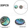 Natural Abalone Shell/Paua Shell Cabochons SSHEL-FH0001-02-5