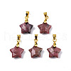 Natural Rhodonite Charms G-N326-142-05-2