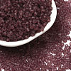 Glass Seed Beads SEED-A008-3mm-M16-1