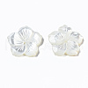 Natural White Shell Mother of Pearl Shell Beads SSHEL-T014-42D-4