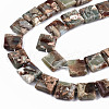 Natural Aqua Terra Jasper Beads Strands G-S366-018B-3