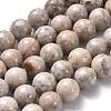 Natural Maifanite/Maifan Stone Beads Strands X-G-I187-8mm-01-7