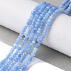 Dyed Natural Malaysia Jade Rondelle Beads Strands X-G-E316-2x4mm-60-5