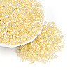 Glass Seed Beads SEED-N007-01B-1