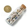 3Pcs Transparent Glass Wishing Bottle Decoration PALLOY-JF03371-3