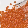 TOHO Round Seed Beads SEED-XTR08-0174F-2