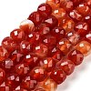 Natural Agate Dyed Beads Strands G-H028-A08-02-2