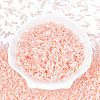 Glass Bugle Beads SEED-N007-28O-2
