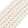 AB Color Plated Shell Pearl Round Beads Strands BSHE-XCP0001-31-1