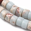 Synthetic Aqua Terra Jasper Beads Strands G-F631-A31-3