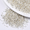 Glass Seed Beads X1-SEED-S042-04A-06-1