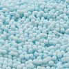 Macaron Color Opaque Frosted Glass Seed Beads X1-SEED-K009-12B-11-3