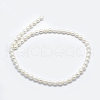 Natural Cultured Freshwater Pearl Beads Strands PEAR-K003-23D-01-2