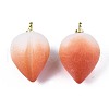 Opaque Resin Pendants RESI-T051-09C-3