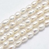 Natural Cultured Freshwater Pearl Beads Strands X1-PEAR-F007-83-1