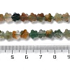 Natural Indian Agate Beads Strands G-B138-C04-01-5