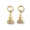 Brass Micro Pave Cubic Zirconia Charms ZIRC-G133-04G-1-1