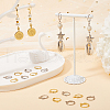 SOFPLATE 2 Colors 304 Stainless Steel Leverback Earring Findings STAS-SP0001-09A-4