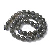 Natural Labradorite Beads Strands G-U017-8MM-01-3