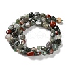 Natural African Bloodstone Beads Strands G-P497-01C-22-3