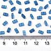 2-Hole Baking Paint Glass Seed Beads SEED-S031-M-SH1205FR-2