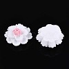 Resin Decoden Cabochons CRES-T025-04A-2