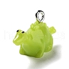 Opaque Resin Pendants RESI-P036-01C-1