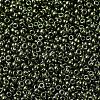 MIYUKI Round Rocailles Beads SEED-X0054-RR0459-3