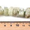 Natural Prehnite Beads Strands G-I283-F11-5