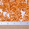 MIYUKI Delica Beads Small X-SEED-J020-DBS0045-4