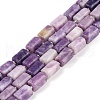Natural Lepidolite Beads Strands G-M403-B35-03-1