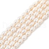 Natural Cultured Freshwater Pearl Beads Strands PEAR-I007-01B-02B-02-2
