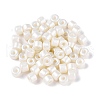 Baking Paint Pearlized Glass Seed Beads SEED-T008-03A-2
