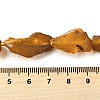 Raw Rough Natural Amber Beads Strands G-B125-C01-02-5