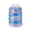 3-Ply Segment Dyed Nylon Thread Cord NWIR-F011-01I-1