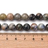 Natural Sodalite Beads Strands G-F591-13-01-5