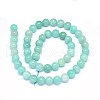 Natural Amazonite Beads Strands G-F602-02-10mm-2