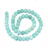 Natural Amazonite Beads Strands G-F602-02-10mm-2